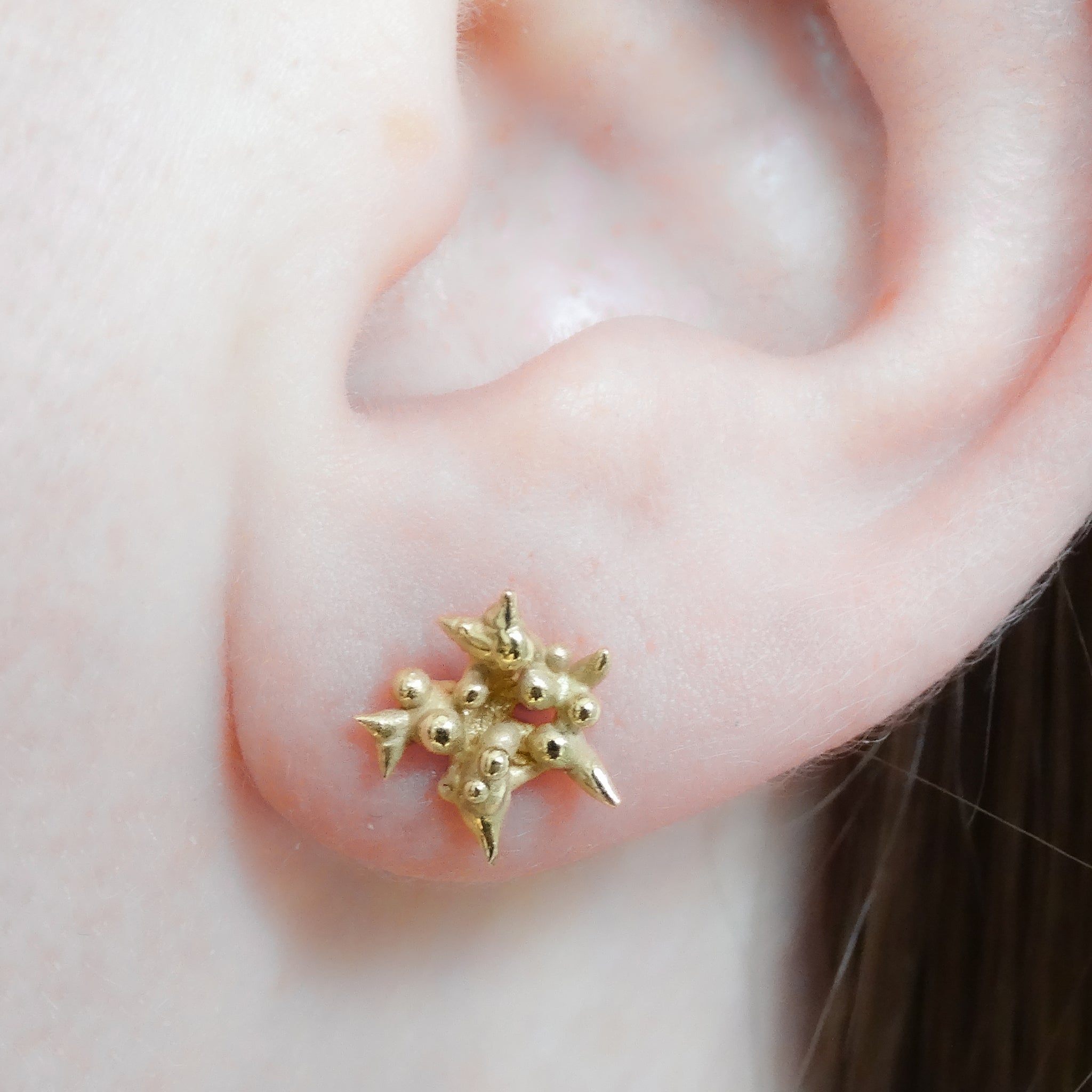 18ct Yellow Gold Sloe Stud Earring & Ear Climber